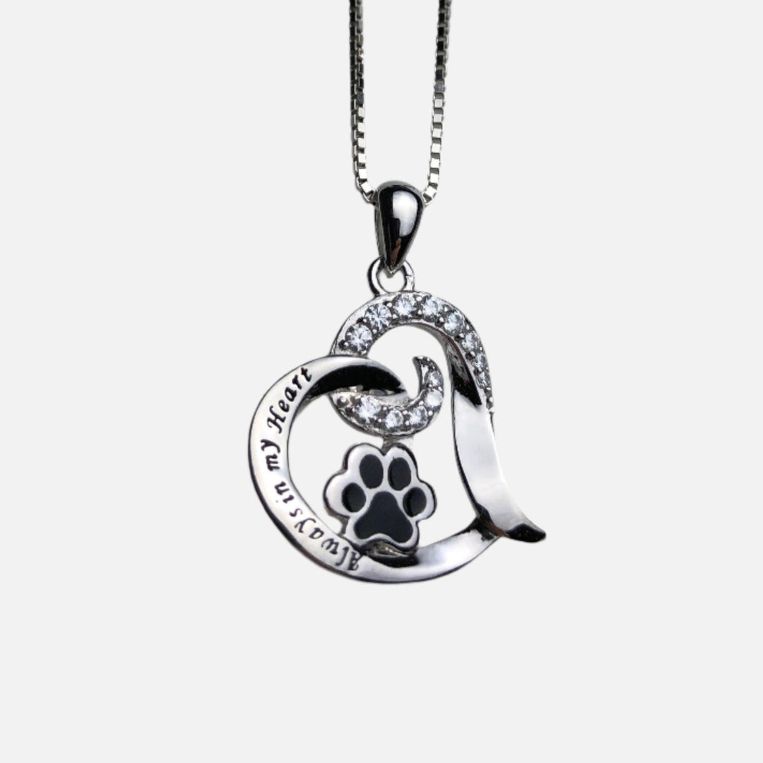 Stainless Steel Elegant Memorial Dog Collar