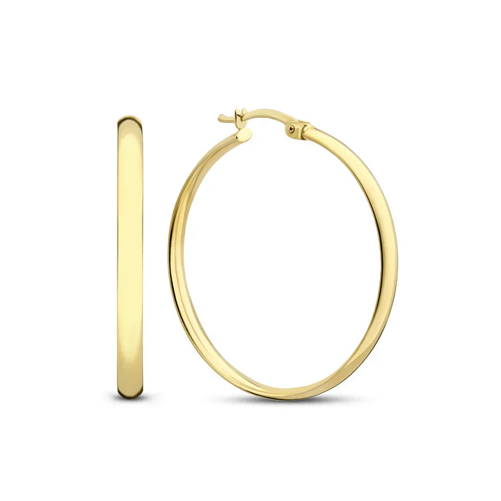 Stela Vega Gold Earrings