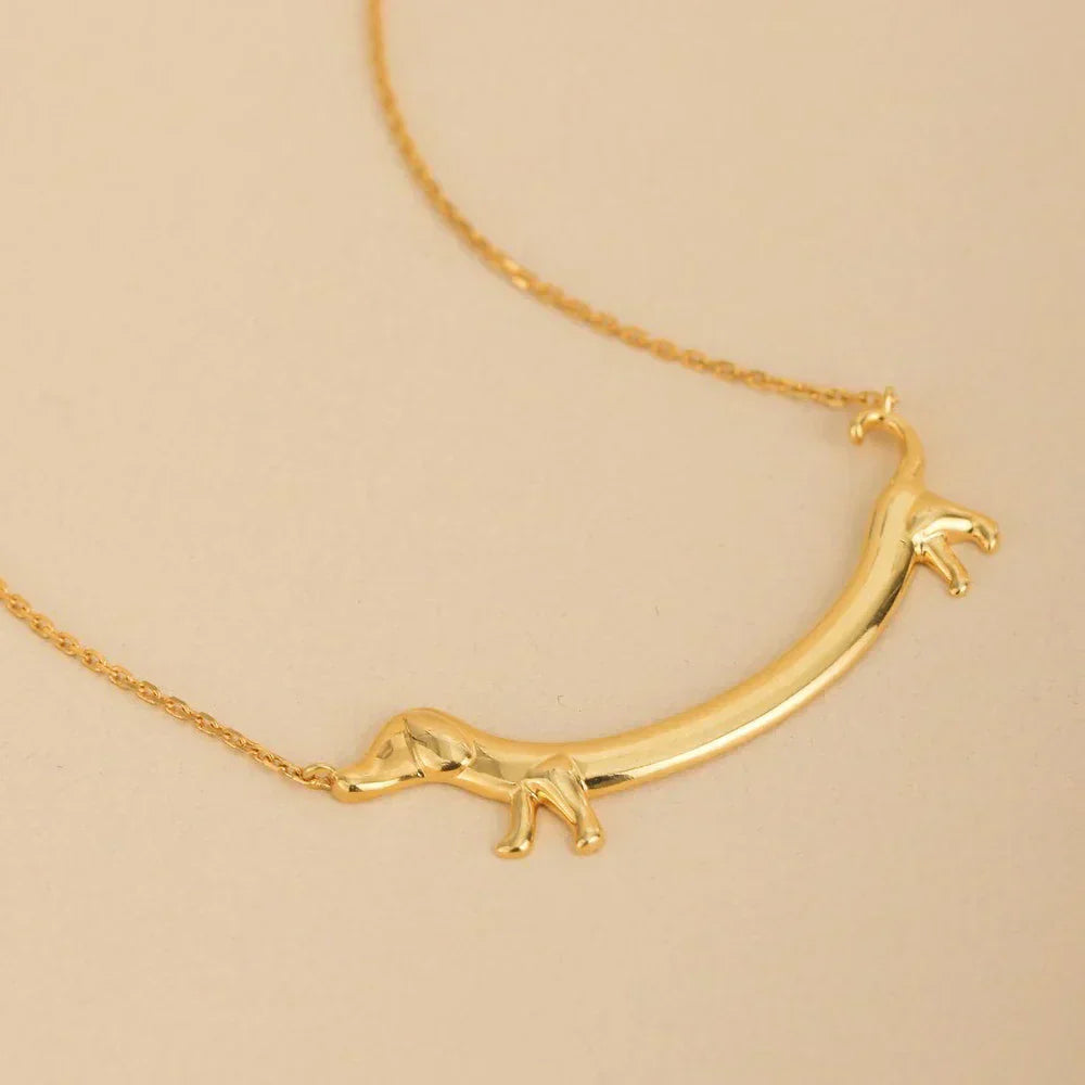 Gold Dachshund Dog Collar