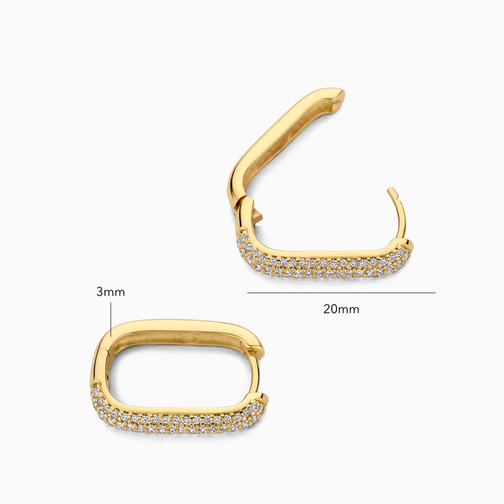 Diamond & Gold Earrings